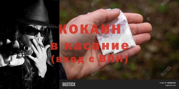 сатива Мегион