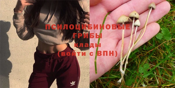 тгк Майский