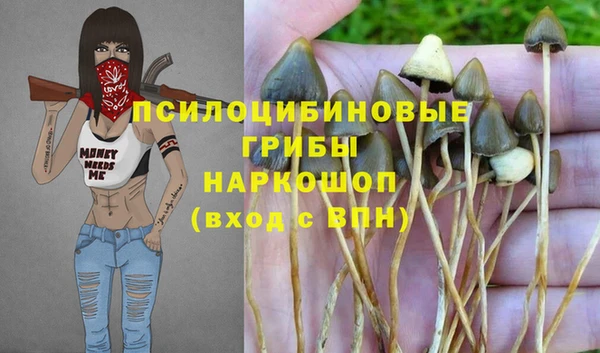 кокс Медвежьегорск