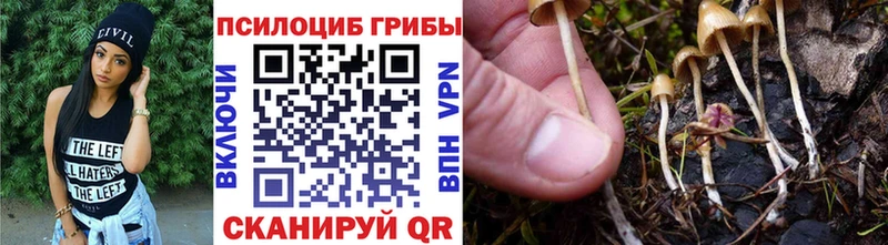 Галлюциногенные грибы MAGIC MUSHROOMS  Комсомольск-на-Амуре 