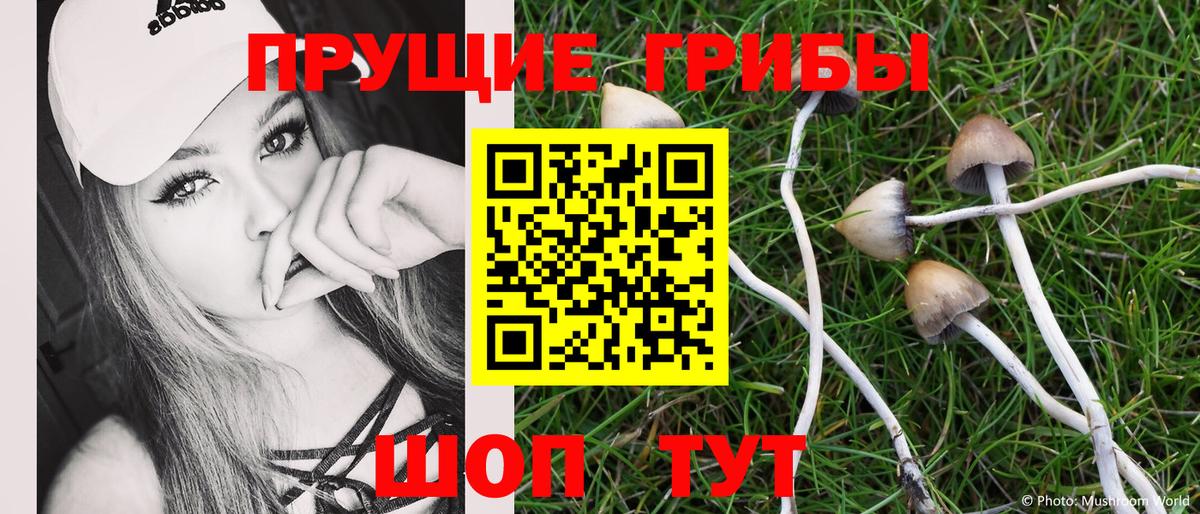 Галлюциногенные грибы GOLDEN TEACHER  Вход с VPN  наркотики  Комсомольск-на-Амуре 